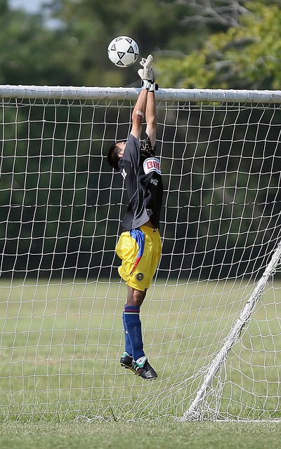 而球队也能 而球队也能