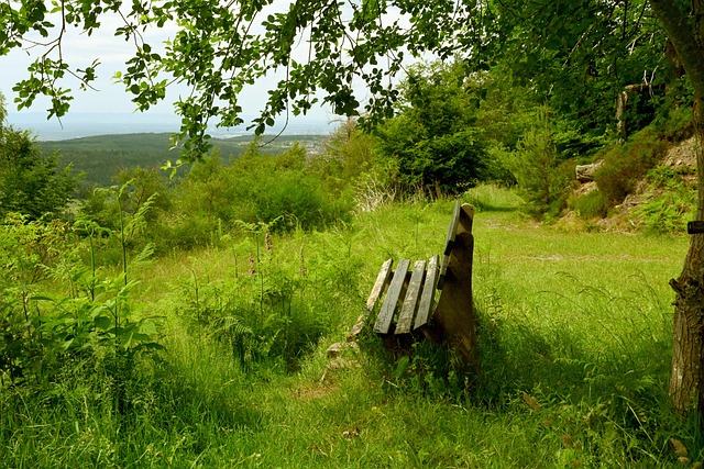 不乏類似的 不乏類似的